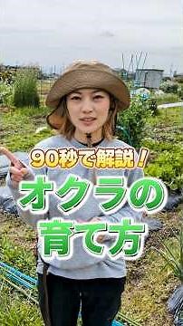 Here's how to grow okra! The key is to space the plants widely and plant multiple plants in one s...