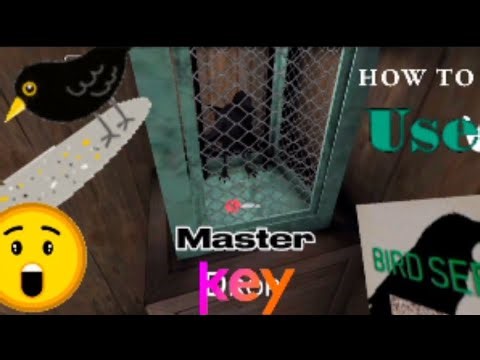 HOW TO USE MASTER KEY 🗝️ AND BIRD SEEDS 😲‪@SVNS8‬ #granny #jumpscare #horror #gaming