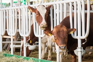 A counterintuitive climate solution