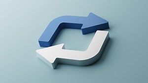 L'accord du participe passé