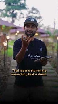 Are You Bearing Fruit? John the Baptist’s Warning — Matthew 3