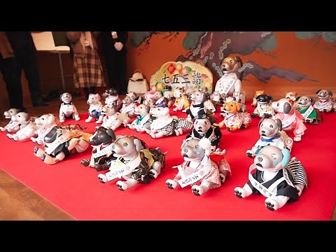 aiboの七五三 2024（神田明神）ダイジェスト映像