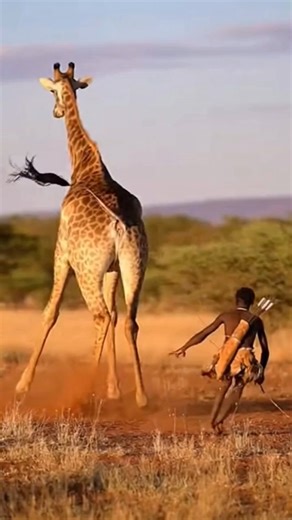 Hadzabe Man Retreats as Giraffe Delivers Powerful Defensive Kick – Long-Lens (AI)