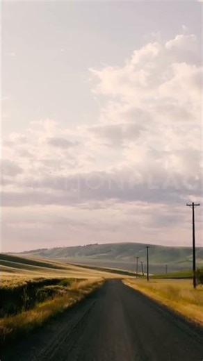 Busyness Makes Us Forget #shorts