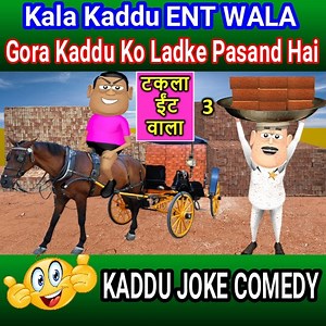 502K views · 13K reactions | Kaddu Joke | Kala Kaddu Labour Wala | काला कद्दू लेबर वाला | Jokes | Funny Comedy Video #kaddujoke #cartoon #comedy #jokes | Kaddujoke | Facebook