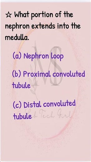 #anatomy MCQ videos|Urinary system||anatomy and physiology| competition exam |NEET|SSC| BMLT ||DMLT
