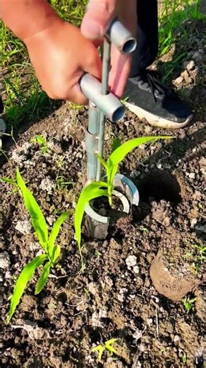 New Transplanter Tool – Faster & Easier Planting!#shortsfeed #agriculture #shorts
