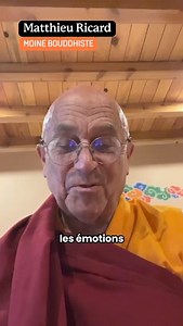Embarquons ensemble pour un voyage au coeur des émotions 🌊 Rendez-vous les 5 et 6 octobre, à Bruxelles ou en ligne, pour un grand week-end de de conférences, témoignages, respirations musicales et intelligence collective animée par Ilios Kotsou, avec Matthieu Ricard et des invité·es exceptionnel·les. 👉 Infos & inscriptions sur notre site https://journees.emergences.org 🤩 | Emergences
