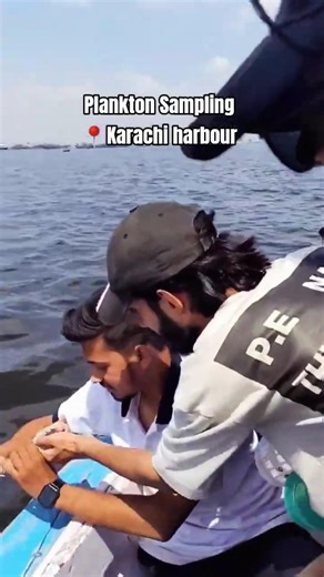 Plankton Sampling | 📍Karachi harbour #karachi #harbour #sampling