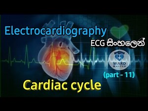 Cardiac Cycle (Electrocardiography (ECG) basics; ECG/EKG in Sinhala)