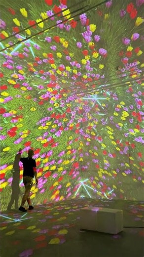 Immersive Projection Mapping Room with Custom Spring Visuals by NOVA Light Labs