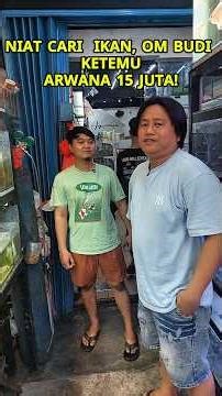 Grebek ART Aquarium Bareng Om Budi! Ada Arwana 15 JUTA?! 😱🐟 #shorts #aquarium #ikan