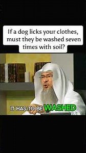 Dog Licks Your Clothes—Must You Wash Them 7 Times? | Islamic Ruling