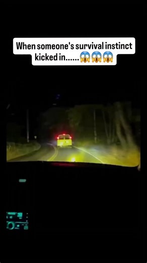 Scary_Encounter5 on Instagram: "A viral dashcam video shows a driver staying alert during a tense moment on a dark, quiet road. As they got closer, they noticed a parked vehicle with its door open and a person standing in the middle of the road—almost like a setup. Sensing something wasn’t right, the driver quickly backed up to stay safe, then sped past the scene without stopping. The clip has spread everywhere online as a reminder to stay aware and not fall into potential road traps, especially