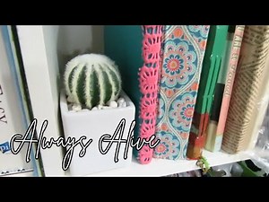 How to Style Artificial Cacti in Ceramic Pots with Pebbles #260