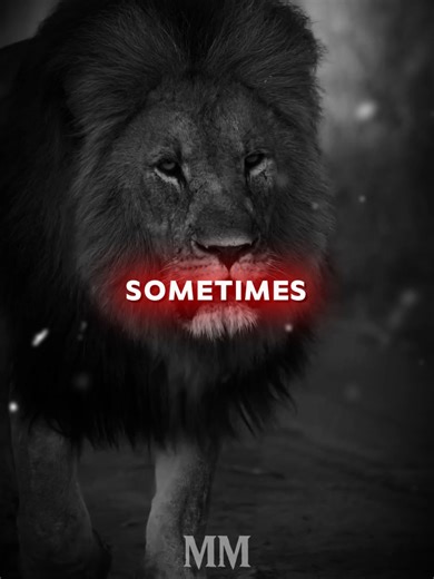 Daily Motivation: Inspiring Life Lessons and Quotes