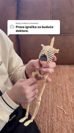 Edukativni set 3D model ljudskog tela 2