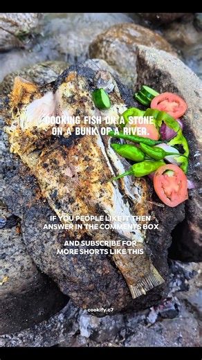 Cooking fish on the stone#shorts#food#cookingoutdoors#peacefulcooking #naturelovers