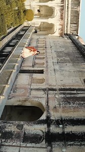 Pre wedding shoot in Jaipur | Wedding Diaries By OMP Jaipur Pre Wedding Shoot Photographer