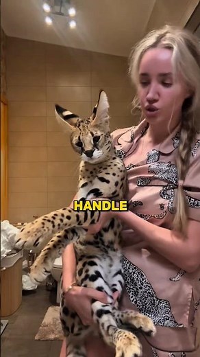 Never Keep a Savannah Cat as a Pet 🐱⚠️
