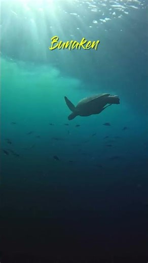 Alle fliegen nach Bali. Du solltest nach Sulawesi ❗️🏝️