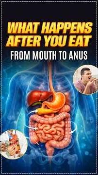 HUMAN DIGESTIVE SYSTEM