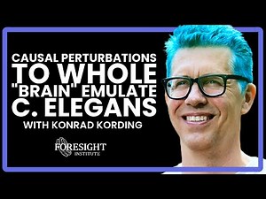 Konrad Kording | Causal Perturbations to Whole Brain Emulate C. Elegans