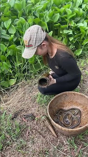 Survival eel trapping skills to catch huge eel fish