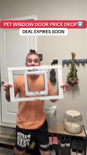 This is such a cool pet door window insert! Way easier than a doggy door #doggydoor #cat #window #march #2026