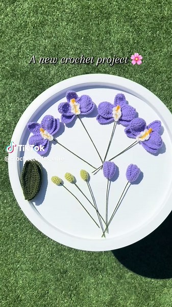 Ellie • Crochet and Crafts ✨ on TikTok