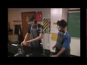 Bahavior in Lab (C) ACS 1991