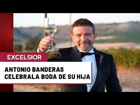 Antonio Banderas' daughter's wedding: this was the toast with the press