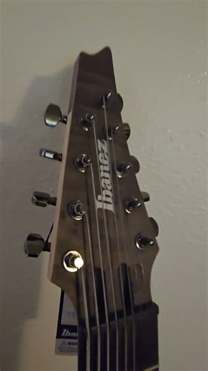 9's... My new 9 string Ibanez.#ams #myams #ibanez ‪@IbanezOfficial‬ ‪@AshdownBassAmps‬ #metal