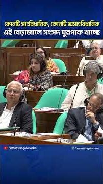 কোনটি সাংবিধানিক, কোনটি অসাংবিধানিক এই বেড়াজালে সংসদ ঘুরপাক খাচ্ছে : হাসনাত | Maasranga News