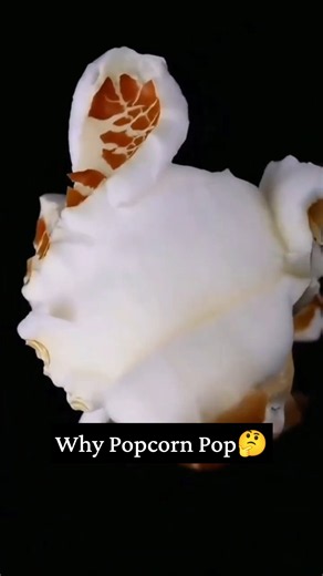 Why Does Popcorn Pop 🍿 The Science Behind It! #shorts
