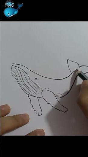 ¿Como dibujar una BALLENA AZUL? | How to draw a BLUE WHALE?