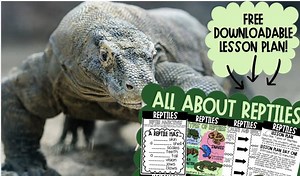 All About Reptiles: A 5-Day Unit Plan for Kids