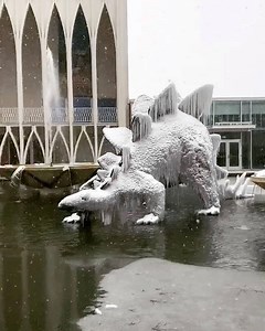 26K views · 1.3K reactions | And s-now it begins! ❄️練秊 | Pacific Science Center | Facebook