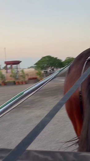 First time for everything🤠😎 #harnessracingfz #harnessracing #tratterpace22 #pace22 #ustrotting #meadowlands