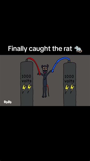 Finally caught the rat eating all my document 😹 #animation #funny #comedy #2danimation #memes