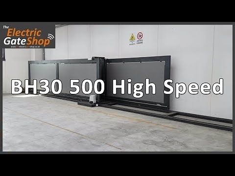 Roger Technology Brushless BH30 500 High Speed