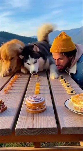 Epic Snack Race: Who Is The Fastest Eater? #foodchallenge #doglovers #competition #funny