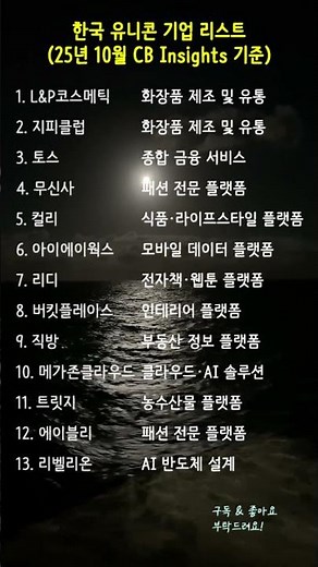 한국 유니콘 기업 리스트 (25년 10월 CB Insights 기준) #한국유니콘 #스타트업