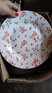 NORITAKE DINNER PLATES IS HERE😍😍😍🎉👀 OMG! HANGGAGANDAAAA🫣😱 | Ceramic and Melamine tableware