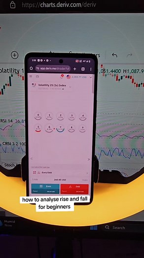Beginner's Guide to Analyzing Rise and Fall Strategies in Crypto and Forex Trading