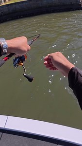 Soft plastics have always been my strong point! If you learn how to use soft plastics properly, you’ll be able to use any lure with ease. Maximum pressure put on this bream to turn its head. The beauty of knowing and trusting your gear! @daiwaaustralia @baitjunkieofficial Rod- Daiwa Infeet EX 742LFS Reel- 25 TD Sol 2500s Lure- 2.35” prawn (Bloodworm) #Daiwaaustralia #Feelalive #Baitjunkie #Aminox #Infeet #softplastics #lurefishing | Abz Meshlawi