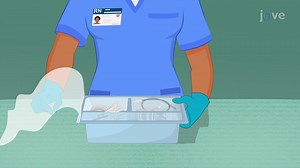 Video: Suctioning the Oropharyngeal Airway