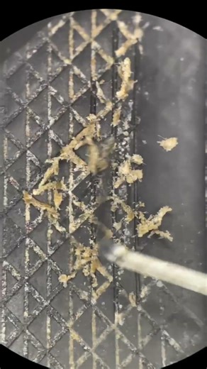 cleaning a gaming mouse #shortvideo