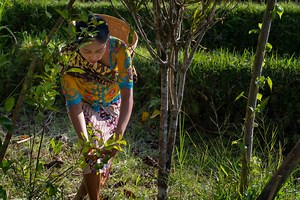 COVID-19: What have hotels and resorts been up to, you ask?