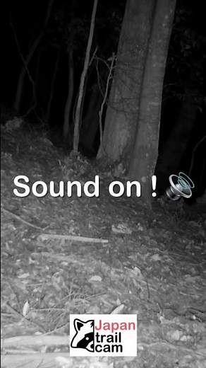 Creepy deer sound in the forest! Like 99 Nights in the Forest…